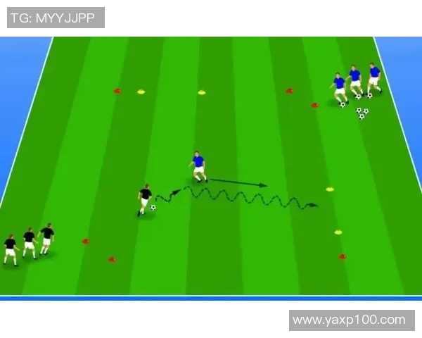 深度分析深圳足球队运营策略与发展模式的成功之道